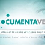 Documentavet